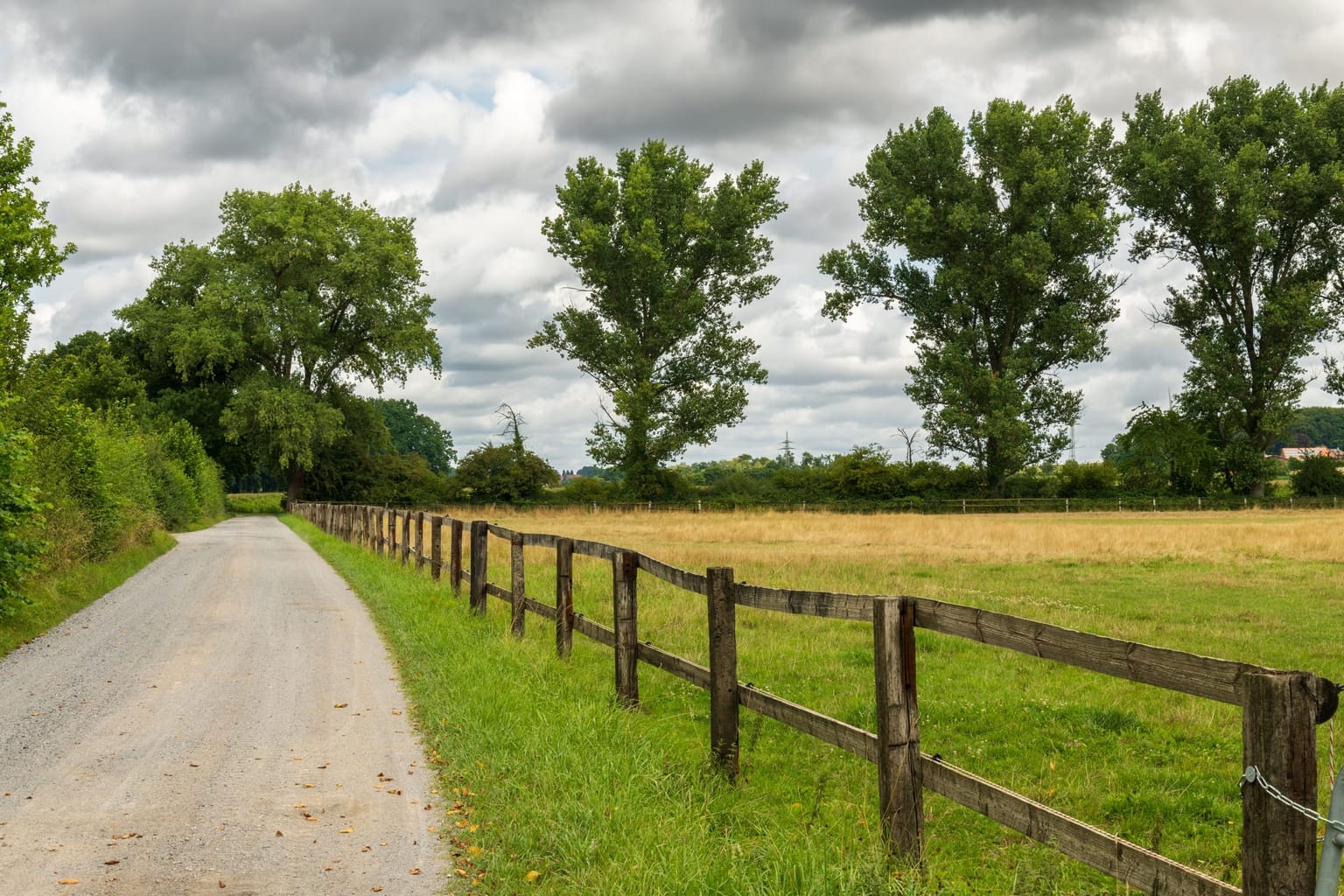 Clôture bois à lisses longeant un pré arboré au bord d'un chemin