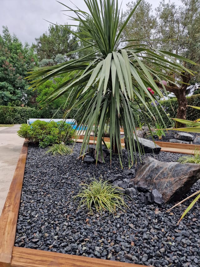 Massif exotique en galets noirs avec cordyline et rochers au bord de la piscine