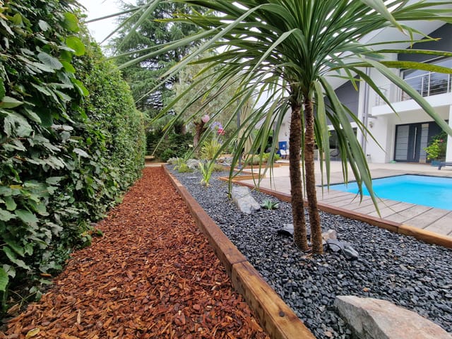 Cordyline en massif de galets noirs face à la piscine