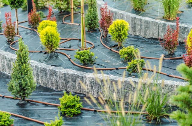 Arrosage automatique — réalisation Tera Nature, paysagiste à Bordeaux et en Médoc (5)