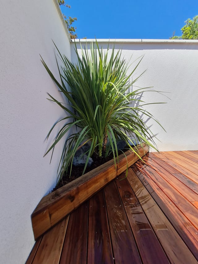 Terrasse en bois exotique avec jardinière intégrée et cordyline