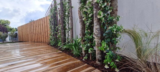 Terrasse en pin avec clôture bois et brise-vue végétalisé en jasmin étoilé