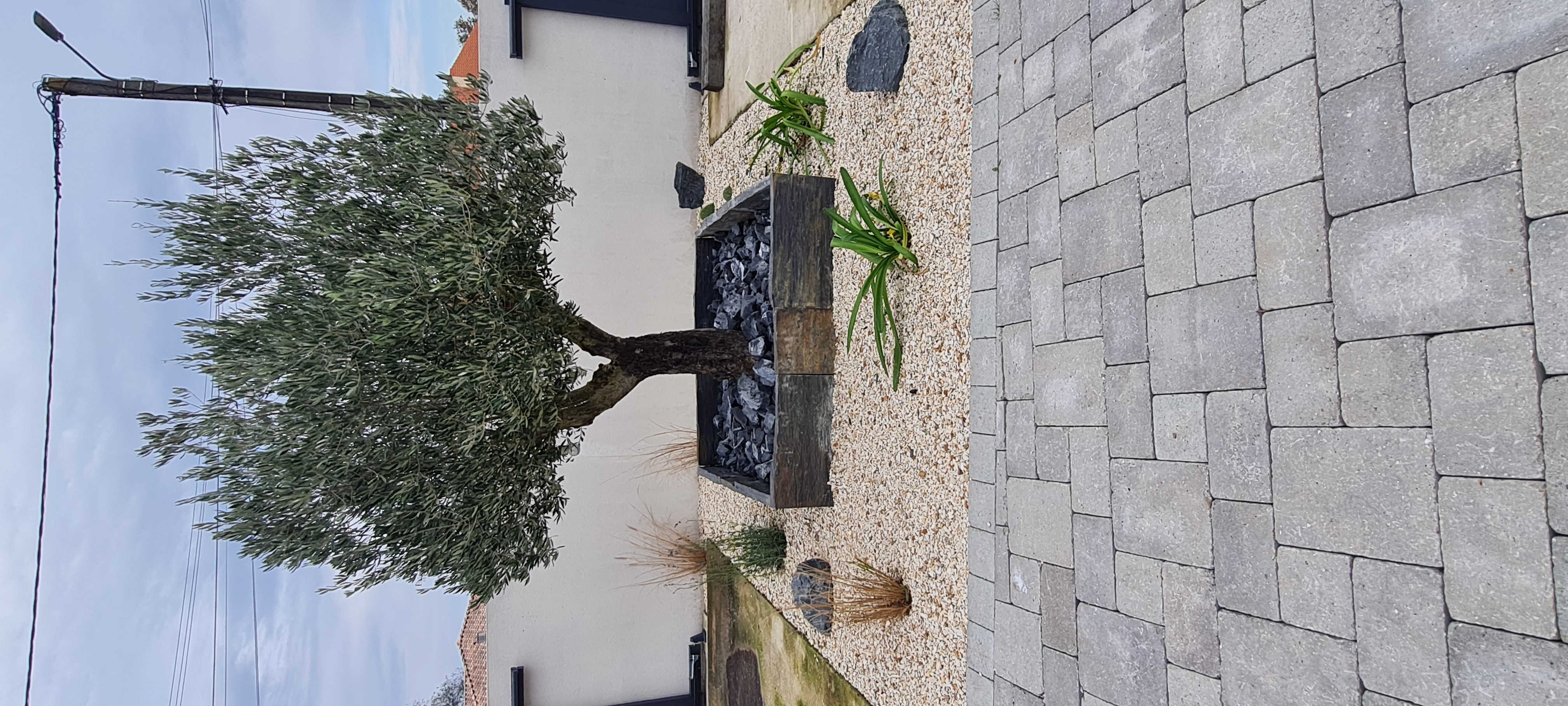 Aménagements paysagers 5