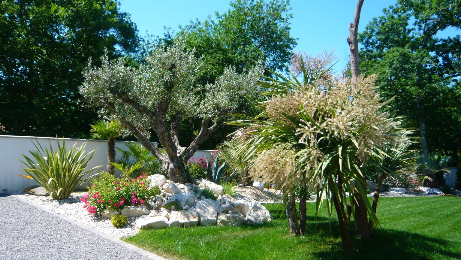 Calendrier d'entretien du jardin : que faire mois par mois (Gironde)
